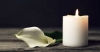 Συλλυπητήρια Ανακοίνωση για την απώλεια της Μαλάμως Νεοφύτου